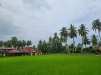 Wafaby Guest House Hotels in Harau