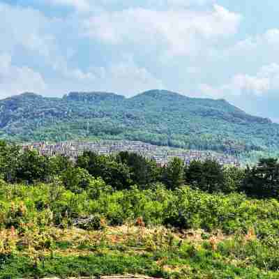 山境美希公寓(澇窪隧道分店) Others