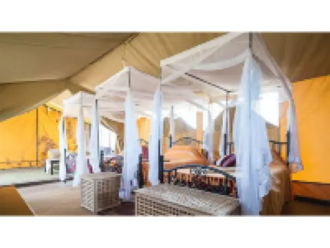 Ikoma Wild Camp Hotels in 