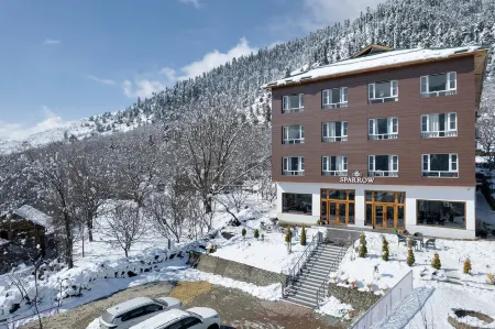 Hotel Sparrow Отели в г. Anantnag