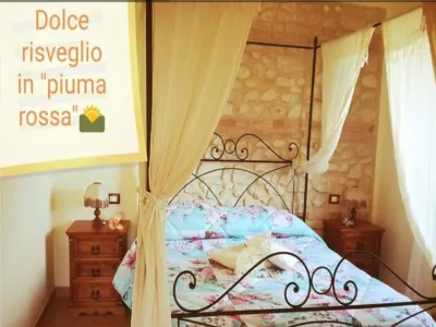 Il Poggio Dei Pettirossi Appartamento - Wi-fi gratuita