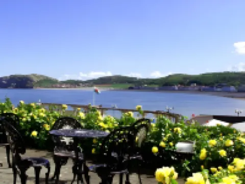 布萊恩-Y-摩爾酒店（限成人）