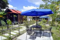 Daisy Angkor Bungalow Hotels in 