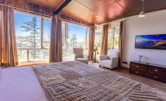 Seclude Shimla, Taraview