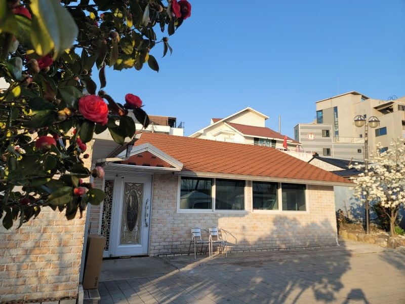 강릉 안목커피거리카라반캠핑