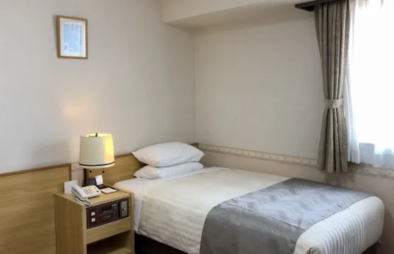 海南和歌山王子酒店