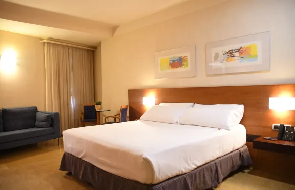 斯考特圖德米爾宮酒店