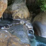 기쿠치 사사노야