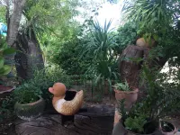 Pumaka Resort Hotels in 