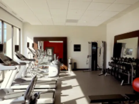 Hilton Garden Inn Austin Airport Hotels in Montopolis