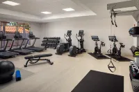 Hilton St. Petersburg Carillon Park - Gym