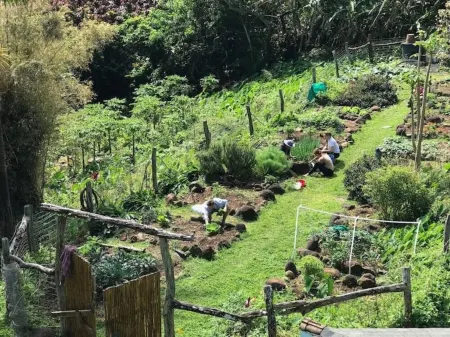 Bamboo Bliss: Ocean Views & Waterfalls Await!