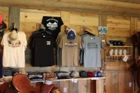 Kara Creek Queen Bed Cabin #9