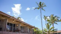 Luxury OCEAN FRONT Truly 5 Star with A/C, 20' From The Water At Pikake. No fees