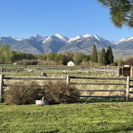 The Ranch House Cabin at J&J Cabins