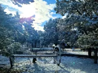 Charming Mountain Chalet with Stunning Views Hotels in Ouray County