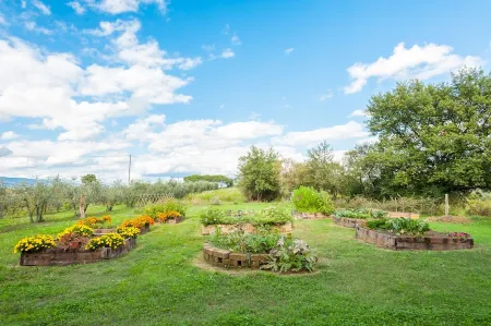 charming apartment with pool just 4 km from the center of Arezzo and 6 km from t