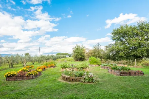 charming apartment with pool just 4 km from the center of Arezzo and 6 km from t