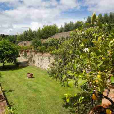 CASALINI 1 - Farmhouse in Chianti - wi fi Free, swimming pool Hotel Exterior