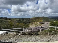 Beverly's Hilltop Retreat