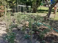 Villa with garden Umbria Hotel in zona Villa Eteria