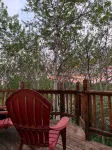 Nicely renovated apartment close to all that Steamboat has to offer!