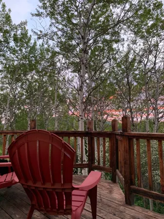 Nicely renovated apartment close to all that Steamboat has to offer! Отели рядом с достопримечательностью «Сода Спринг»