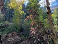 Majestic Mountain Cabin Retreat. Ski in ski out. Sleeps 14