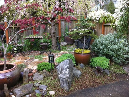 Seattle at its Best - the Premiere Walking Neighborhood!!