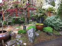 Seattle at its Best - the Premiere Walking Neighborhood!! Hotels in Wallingford
