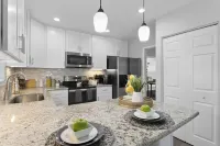 Tampa Getaway, Large Yard! Attractions nearby! I275, I4, stadiums, beaches! Hotels in Lake Magdalene
