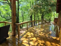 Private mountain cabin surrounded by Nat'l Forest! Visit wineries, hike the AT!