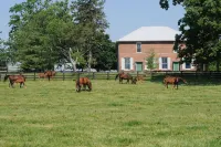 Renovated train station on thoroughbred horse farm.