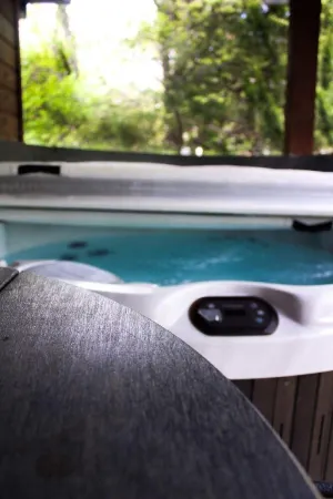 EAGLES NEST - CABIN W/ HOT TUB