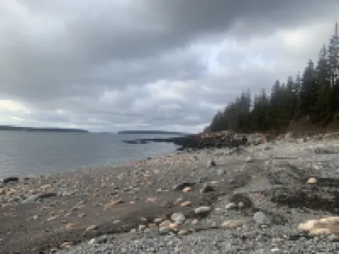 Driftwood Cottage: Bass Harbor, ME Hoteles en Tremont