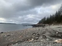 Driftwood Cottage: Bass Harbor, ME