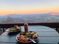 The Treetop Terrace, VIEWS, DECKS, SLEEPS 13