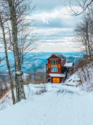 The Treetop Terrace, VIEWS, DECKS, SLEEPS 13