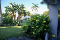 Naples Outdoor Paradise/HEATED Pool/Hot Tub/Only 1.2mi from Beaches! Hotels near Emilio Sanchez Academy Florida