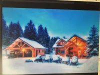 Tweek's Cabin- luxury cabin with yard, fire pit, and hot tub!!!