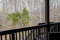 Serene Lake House plus Golf Cart, Access to Tim's Ford LakeBlue Gill Marina