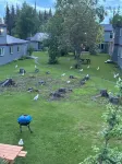 Location! Location! Location! Apt in the heart of Kenai! 1.5 miles to the Beach! Hotels in Kenai