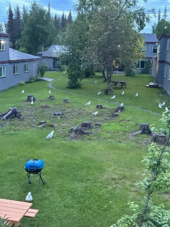 Location! Location! Location! Apt in the heart of Kenai! 1.5 miles to the Beach! Отели в г. Кенай