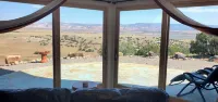 Amazing Views from a MinneDome