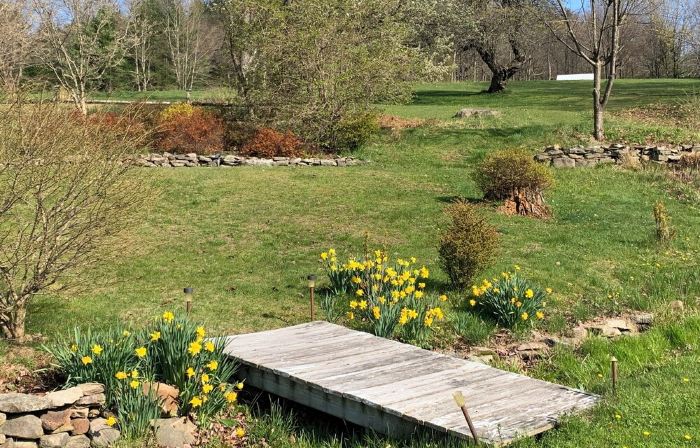 Catskill Farmhouse, mountain views, spring-fed swimming pond with deck, 22 acres