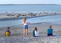 House by the sea in Baie de Somme