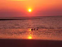 Lone-standing vacation home with a large garden in a peaceful location Hotels in Brookmerland