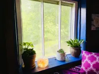 Cozy Cabin: Peaceful Haven in the Heart of Nature Hotels in Yancey County