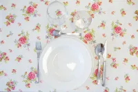 Pico Rubia, two bedroom apartment, living room, kitchen and bathroom