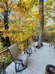 Secluded in The Woods Hotels in 